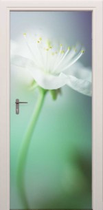 deursticker wit bloemetje